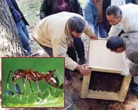 Gardensel arşivinden temsili görsel
