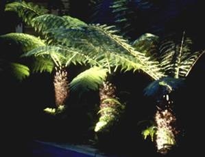 Gardensel arşivinden temsili görsel