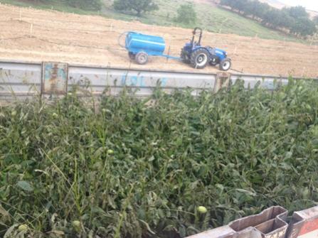 Gardensel arşivinden temsili görsel