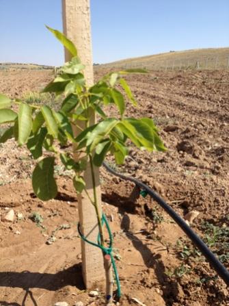 Gardensel arşivinden temsili görsel