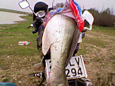 Haber görseli
