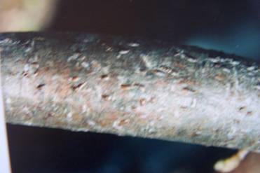 Haber görseli