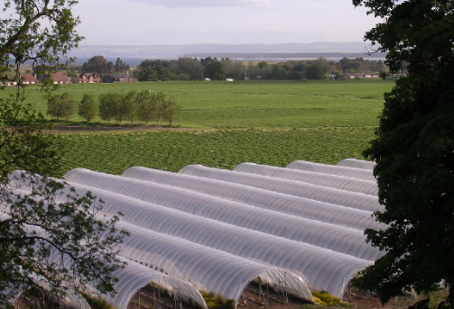 Haber görseli