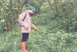 Haber görseli