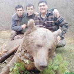 Gardensel arşivinden temsili görsel